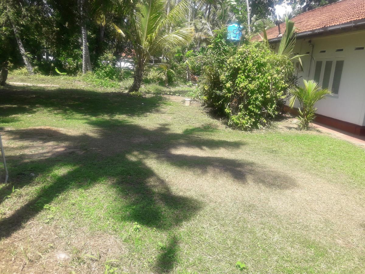 מלון מיריסה International Meditation Center מראה חיצוני תמונה